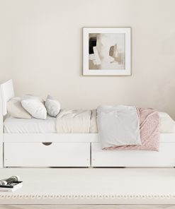 Modern Twin Bed Frame With 2 Drawers