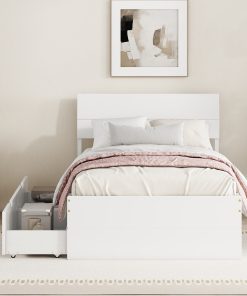 Modern Twin Bed Frame With 2 Drawers