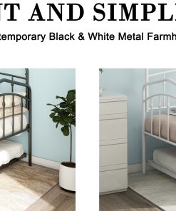 Fox Twin Daybed With Twin Trundle, Black