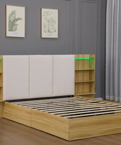 Queen Size Metal Platform Bed Frame